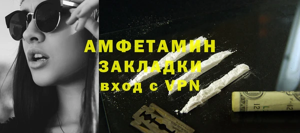 стаф Алексин